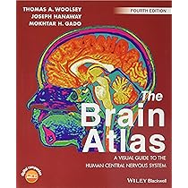 Principles of Neural Science, Fifth Edition : Kandel, Eric R